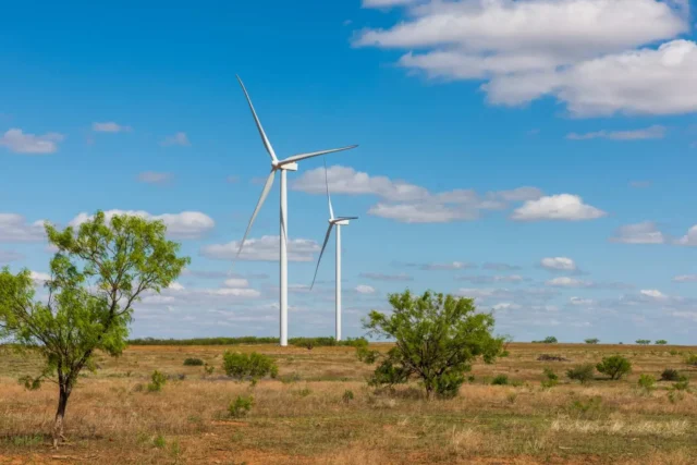 Wind turbines generating clean energy in the UAE.
